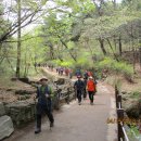 옹달샘약수터 이미지