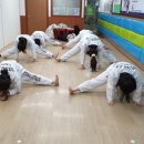 용인대 한신 태권도 이미지