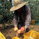 이인석 농장 이미지