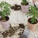 경운초병설유치원 이미지