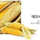 세탁컴퍼니 이미지