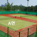 양재시민의숲 테니스장 이미지