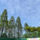 금반저류지 테니스장 이미지