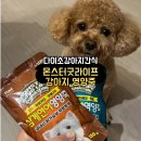 다이소강아지간식 강아지죽 몬스터굿라이프 영양죽 후기