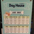 도그하우스 애견미용실 이미지