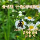 제5기 곤충아카데미 2강 / 7. 1.(토) 이미지