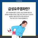 바로본튼튼의원 네이버블로그