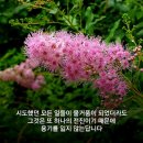 산중이야기~ 이미지