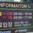 대아매점 이미지