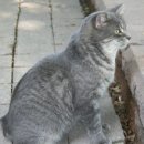 (주)우아한연구소 이미지