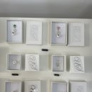 패닉볼트 이미지