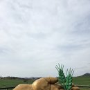 서야농장 이미지