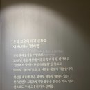 한가빈 - 강서구 마곡중앙6로 21 | 영종도 한가빈 카피라이팅과 보자기소품 기반 공간장식 에 함께했습니다