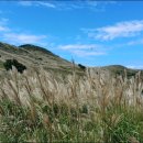 하금계곡(상류) 이미지