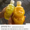 (취소)꽃피는 춘삼월~제주도에서 유채꽃 벛꽃 구경하고 맛집도 가고 관광하러 가요 가요~~^^ 이미지