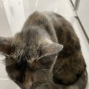 노한도 농장 이미지