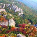 선운산 수 펜션 이미지