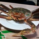 용진호대게식당 이미지