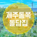 쥬쥬네 미깡밭 네이버블로그