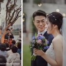 프라움 악기박물관 이미지