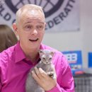 애묘(고양이)백과 - 우크라이나 레브코이 (Ukrainian Levkoy Cat) 이미지