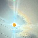 개와커피가썸타는날(개썸커피) | 엄마 몰래 호주가기