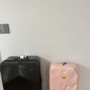 ICON PC | 가방후기 )- 크래쉬 배기지 26인치 핑크