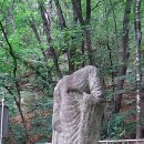 강원대학교박물관 이미지