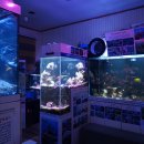 아쿠아춘천닭갈비 이미지