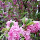 아현중학교 이미지