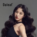 노제