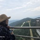 오성회