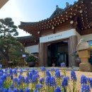키즈포레스트 | 양평 칸트의 마을 - 정원 예쁘고 인생샷 쏟아지는 힐링 카페