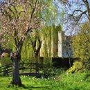 민주주의와 헌법 이미지