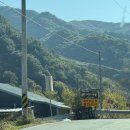 자작나무뜰 오토캠핑장 | 대구 근교 캠핑장 프라이빗 한 자작나무뜰 오토캠핑장