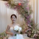 다뽑아가라 이미지