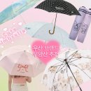 기라로쉬 우산 후기 우산 양산 브랜드 4곳 추천(기라로쉬, 락피쉬웨더웨어, 로라로라, 블루밍테일)