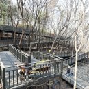 무장애숲 이미지