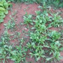 바다농장 이미지