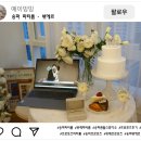 센트라포레 | [송파 파티룸] 뷔에르 – 남자친구에게 프로포즈 후기