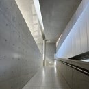 평화1공원 | [경기/김포] 애기봉 전망대, 평화생태공원 후기/북한 보이는 스타벅스