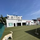 썸바디독스 이미지