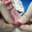 24시 더나은 동물메디컬 센터 이미지