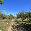 양양고인돌캠프 이미지