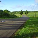 수천목장 이미지