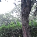 매봉산3길 이미지