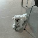 해피그래스 이미지