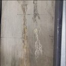 가람커뮤니케이션