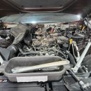 카센타 TM 이미지