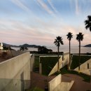 트로피칼드림 이미지